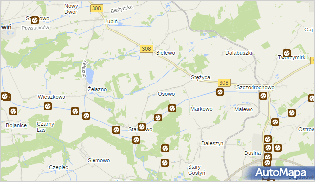 mapa Osowo gmina Gostyń, Osowo gmina Gostyń na mapie Targeo