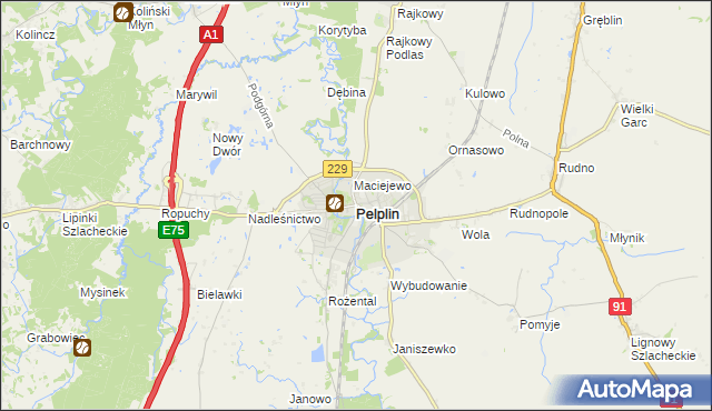 mapa Pelplin, Pelplin na mapie Targeo