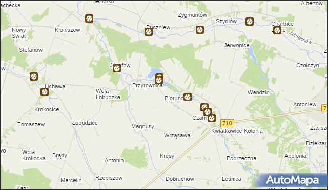 mapa Piorunów gmina Wodzierady, Piorunów gmina Wodzierady na mapie Targeo