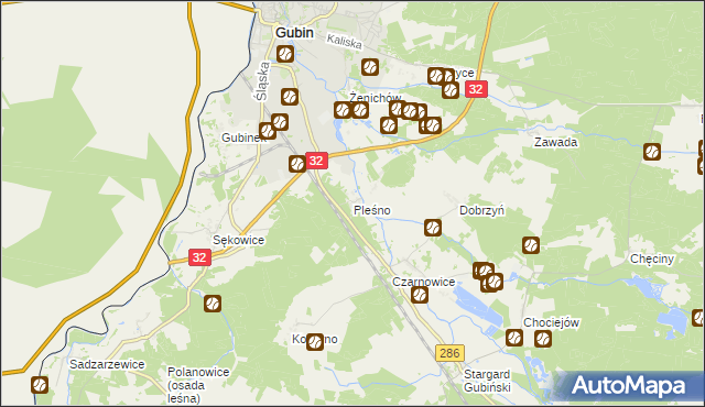 mapa Pleśno gmina Gubin, Pleśno gmina Gubin na mapie Targeo