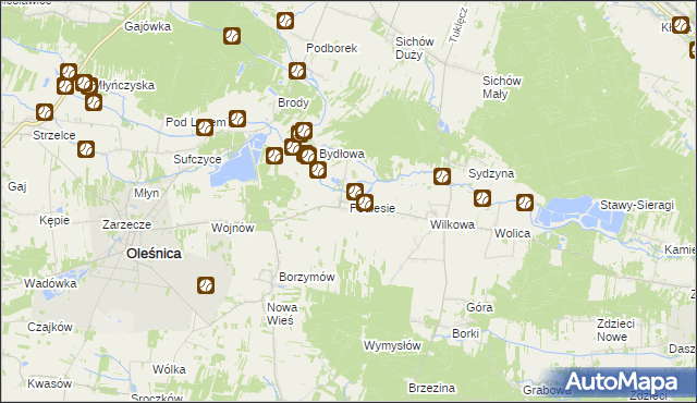 mapa Podlesie gmina Oleśnica, Podlesie gmina Oleśnica na mapie Targeo