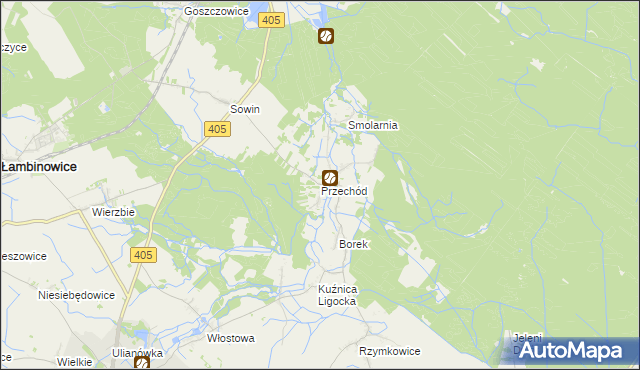 mapa Przechód gmina Korfantów, Przechód gmina Korfantów na mapie Targeo