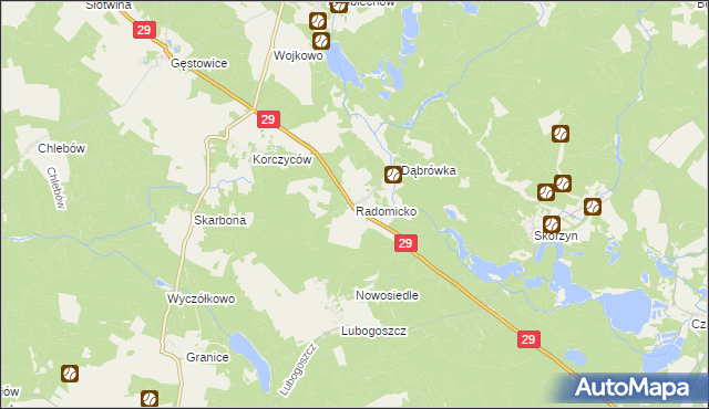 mapa Radomicko gmina Maszewo, Radomicko gmina Maszewo na mapie Targeo