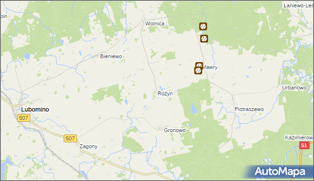mapa Różyn, Różyn na mapie Targeo