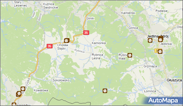 mapa Rybnica Leśna, Rybnica Leśna na mapie Targeo