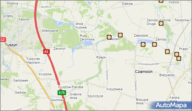 mapa Rzepki gmina Czarnocin, Rzepki gmina Czarnocin na mapie Targeo