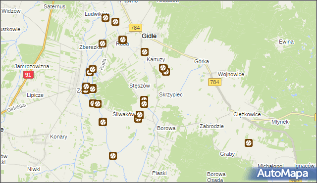 mapa Skrzypiec gmina Gidle, Skrzypiec gmina Gidle na mapie Targeo
