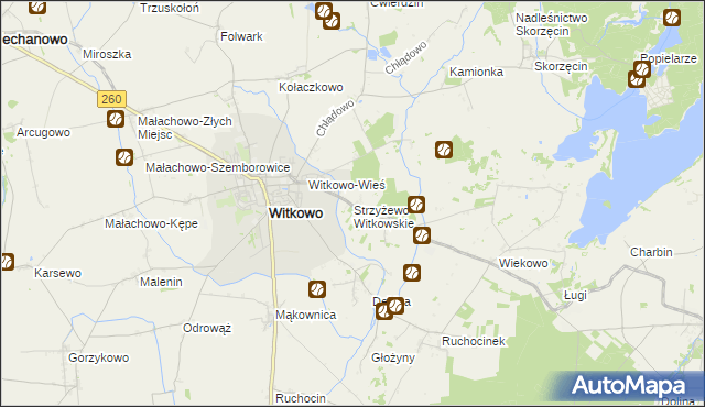 mapa Strzyżewo Witkowskie, Strzyżewo Witkowskie na mapie Targeo