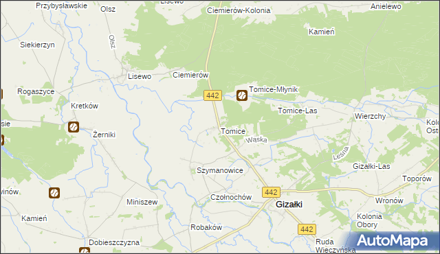 mapa Tomice gmina Gizałki, Tomice gmina Gizałki na mapie Targeo