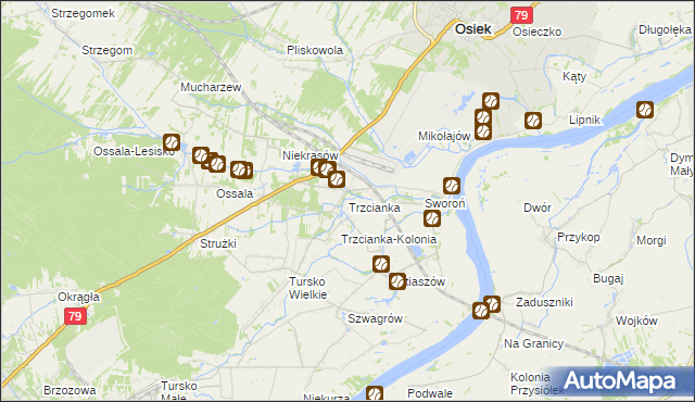 mapa Trzcianka gmina Osiek, Trzcianka gmina Osiek na mapie Targeo