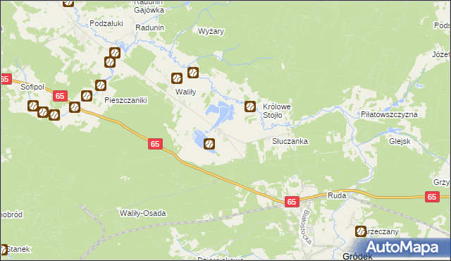 mapa Waliły-Dwór, Waliły-Dwór na mapie Targeo