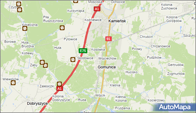 mapa Wojciechów gmina Gomunice, Wojciechów gmina Gomunice na mapie Targeo