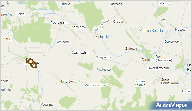 mapa Wygnanki, Wygnanki na mapie Targeo