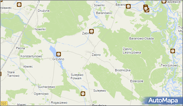 mapa Żabno gmina Brodnica, Żabno gmina Brodnica na mapie Targeo