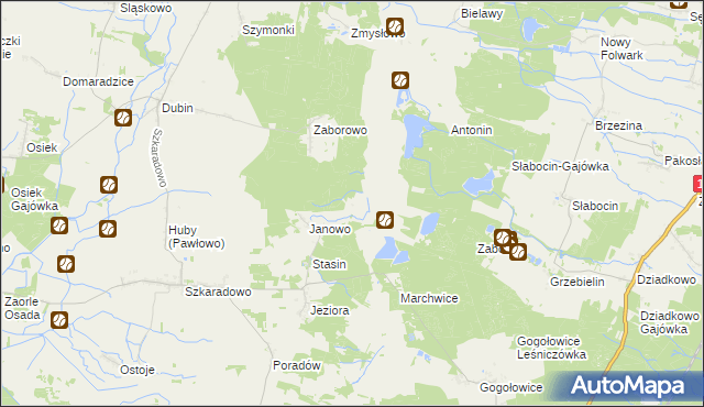 mapa Żbiki gmina Jutrosin, Żbiki gmina Jutrosin na mapie Targeo