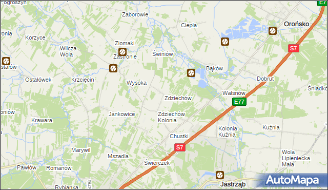 mapa Zdziechów gmina Szydłowiec, Zdziechów gmina Szydłowiec na mapie Targeo