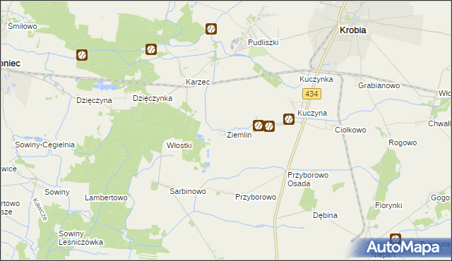 mapa Ziemlin, Ziemlin na mapie Targeo