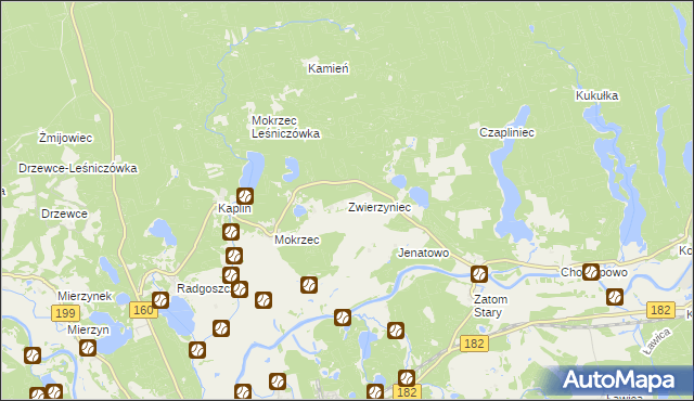 mapa Zwierzyniec gmina Międzychód, Zwierzyniec gmina Międzychód na mapie Targeo