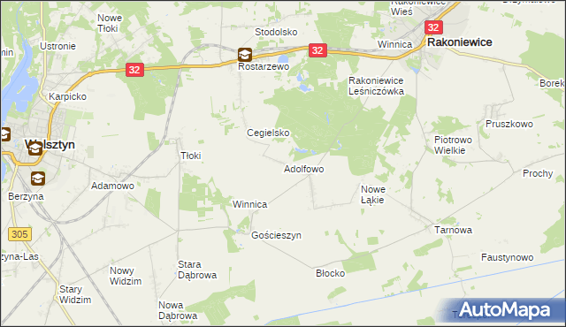 mapa Adolfowo gmina Rakoniewice, Adolfowo gmina Rakoniewice na mapie Targeo