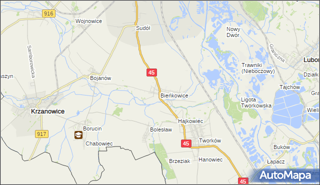 mapa Bieńkowice gmina Krzyżanowice, Bieńkowice gmina Krzyżanowice na mapie Targeo