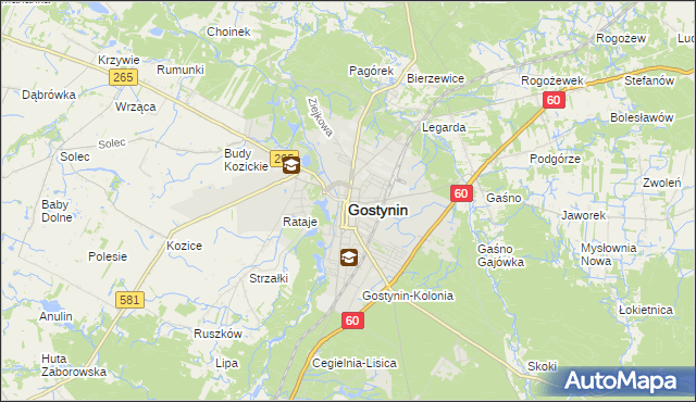 mapa Gostynin, Gostynin na mapie Targeo