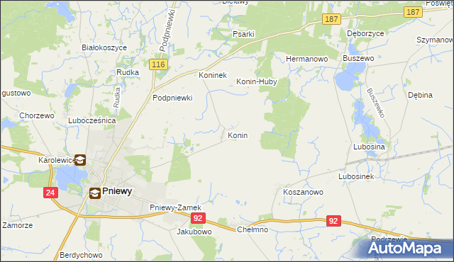 mapa Konin gmina Pniewy, Konin gmina Pniewy na mapie Targeo