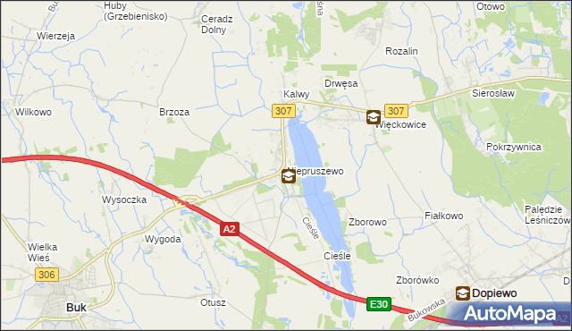 mapa Niepruszewo, Niepruszewo na mapie Targeo