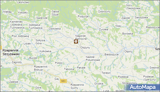 mapa Olszyny gmina Rzepiennik Strzyżewski, Olszyny gmina Rzepiennik Strzyżewski na mapie Targeo