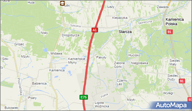 mapa Pakuły gmina Woźniki, Pakuły gmina Woźniki na mapie Targeo