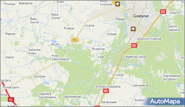 mapa Sałki gmina Gostynin, Sałki gmina Gostynin na mapie Targeo