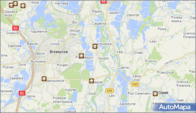 mapa Skidziń, Skidziń na mapie Targeo