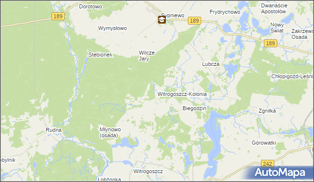 mapa Witrogoszcz-Kolonia, Witrogoszcz-Kolonia na mapie Targeo