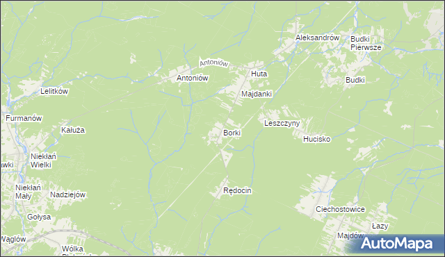 mapa Borki gmina Chlewiska, Borki gmina Chlewiska na mapie Targeo