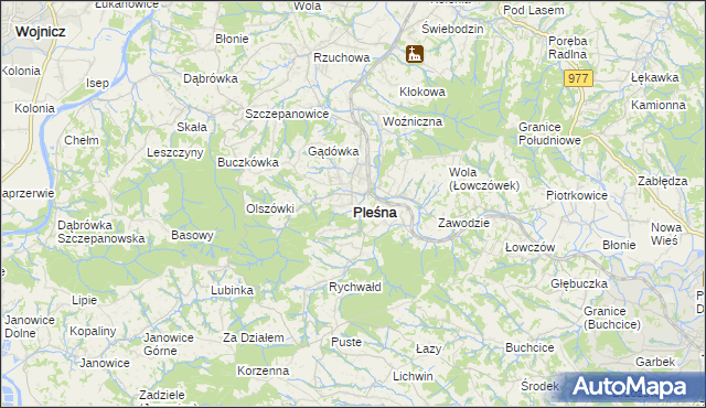 mapa Pleśna powiat tarnowski, Pleśna powiat tarnowski na mapie Targeo