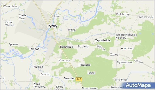 mapa Trzcianki gmina Pyzdry, Trzcianki gmina Pyzdry na mapie Targeo