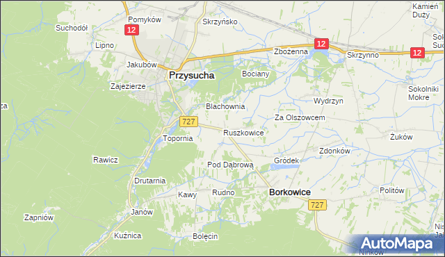 mapa Ruszkowice gmina Borkowice, Ruszkowice gmina Borkowice na mapie Targeo