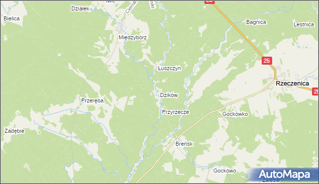 mapa Dzików gmina Rzeczenica, Dzików gmina Rzeczenica na mapie Targeo