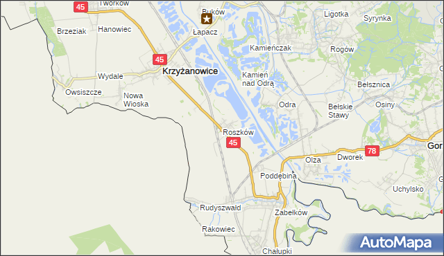 mapa Roszków gmina Krzyżanowice, Roszków gmina Krzyżanowice na mapie Targeo