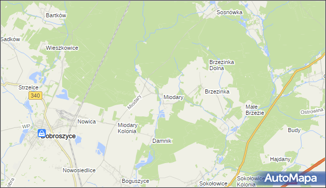 mapa Miodary gmina Dobroszyce, Miodary gmina Dobroszyce na mapie Targeo