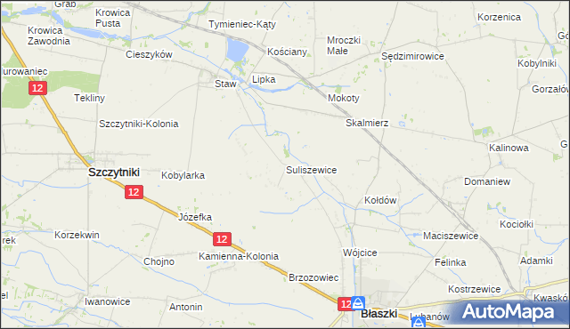 mapa Suliszewice gmina Błaszki, Suliszewice gmina Błaszki na mapie Targeo