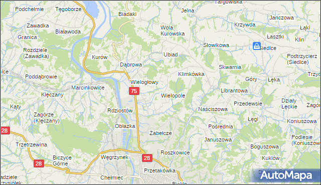 mapa Wielopole gmina Chełmiec, Wielopole gmina Chełmiec na mapie Targeo