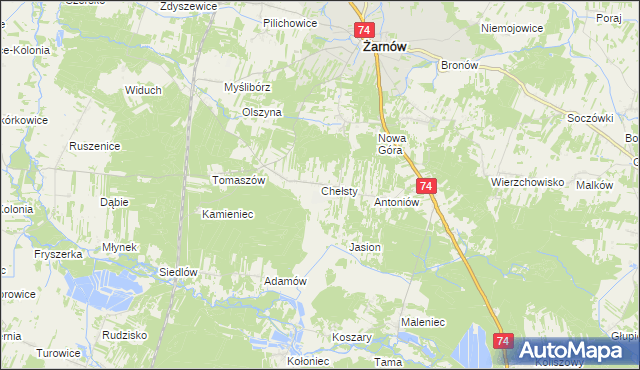 mapa Chełsty gmina Żarnów, Chełsty gmina Żarnów na mapie Targeo