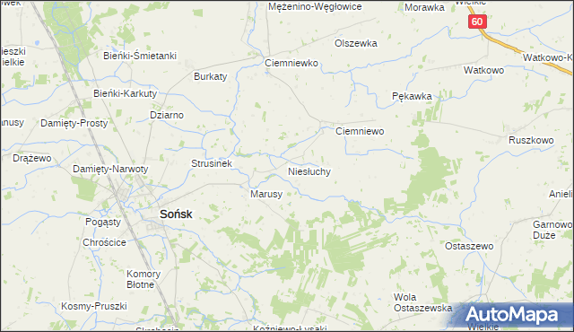 mapa Niesłuchy, Niesłuchy na mapie Targeo