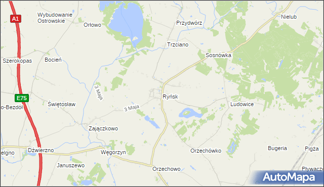 mapa Ryńsk, Ryńsk na mapie Targeo