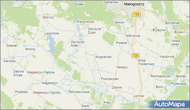 mapa Wygnanów gmina Małogoszcz, Wygnanów gmina Małogoszcz na mapie Targeo