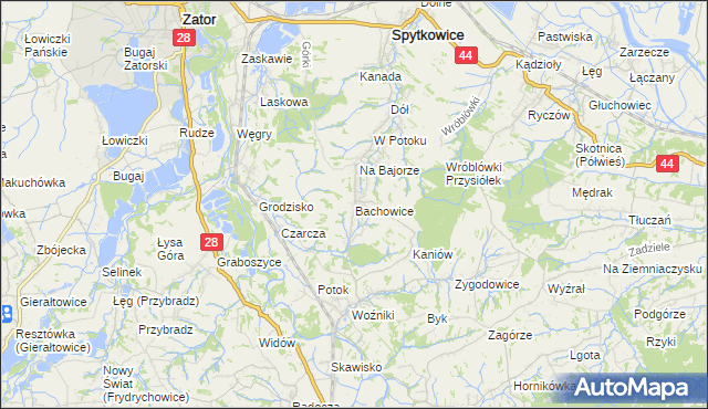 mapa Bachowice, Bachowice na mapie Targeo