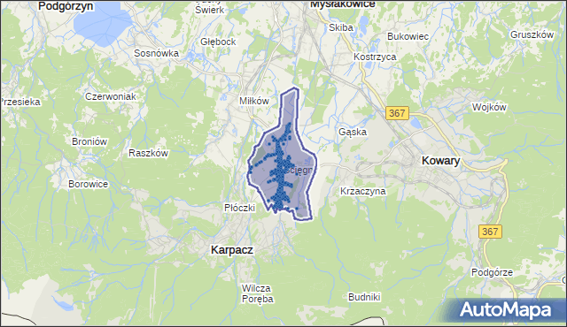 Kod pocztowy 58-534