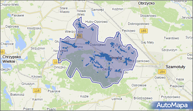 Kod pocztowy 64-560