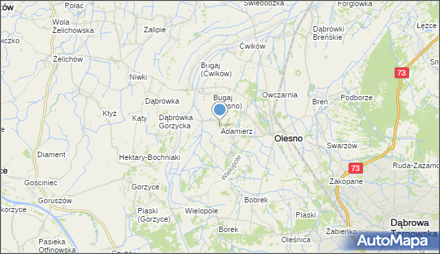 mapa Adamierz, Adamierz gmina Olesno na mapie Targeo