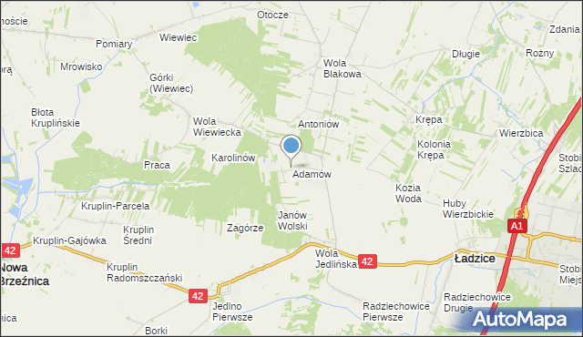 mapa Adamów, Adamów gmina Ładzice na mapie Targeo